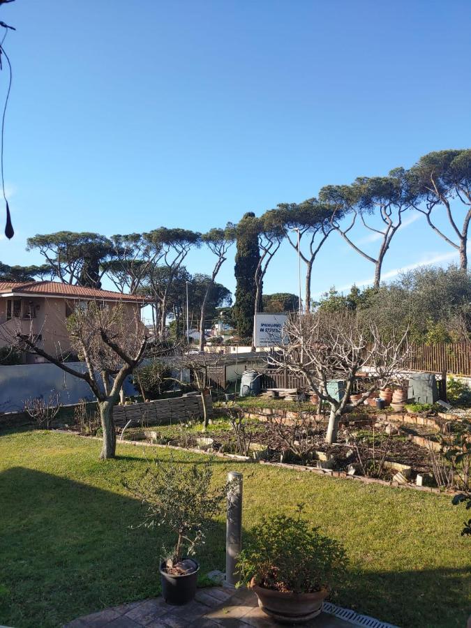 Nonna Genoveffa, camere Infernetto Esterno foto